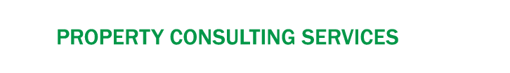 Property Consulting Services