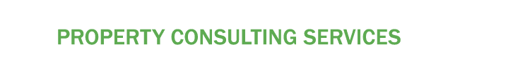 Property Consulting Services
