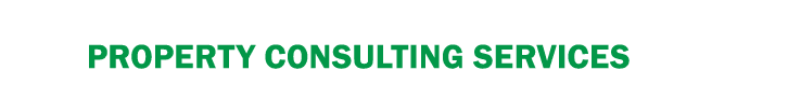 Property Consulting Services