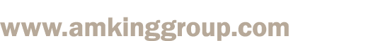 www amkinggroup com