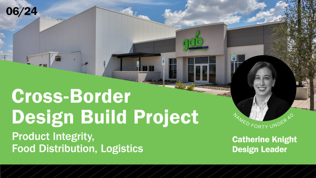 cross-border design build project case study