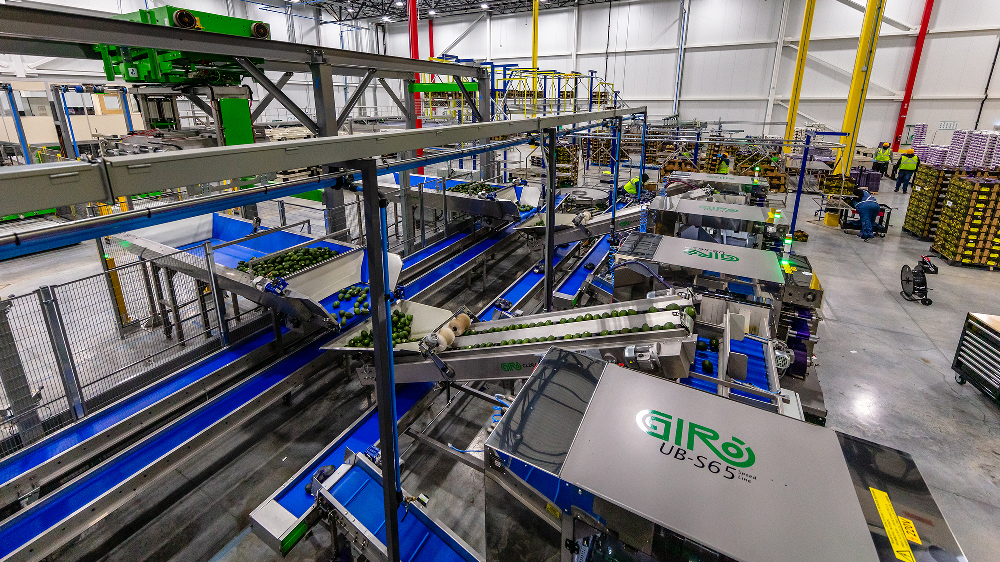 A M King installed this custom-designed bagging system for Mission Produce’s Laredo, TX facility, which can be programmed to bag any number of avocados and deftly craft distinct packaging for third-party customers. 